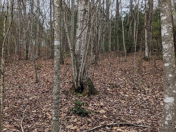 5th image of LOT 27 Trailwood Dr