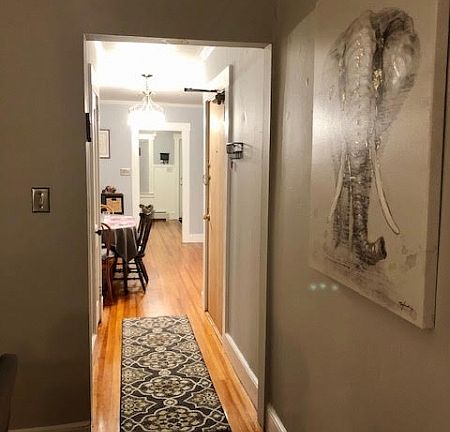 5th image of 227 W Mount Pleasant Ave APT 2A