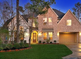 15 Player Oaks Pl, The Woodlands, TX 77382