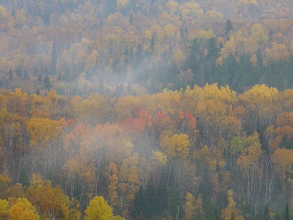 Tettegouche Park across road
