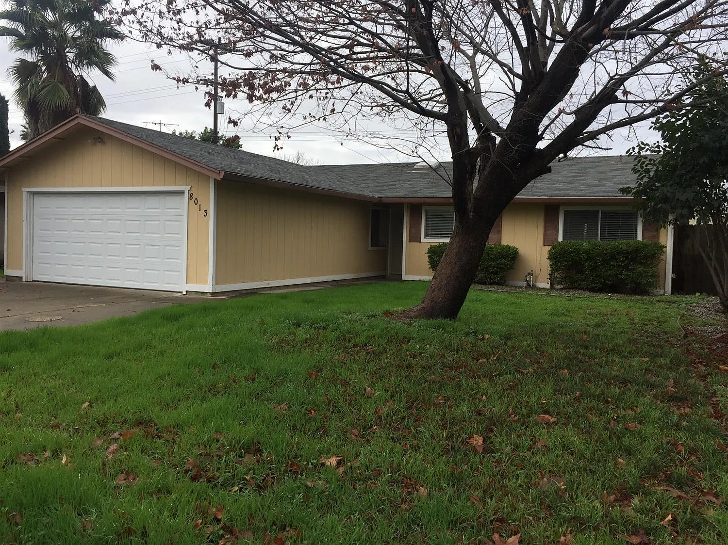 8013 Dicus Ct photo 1