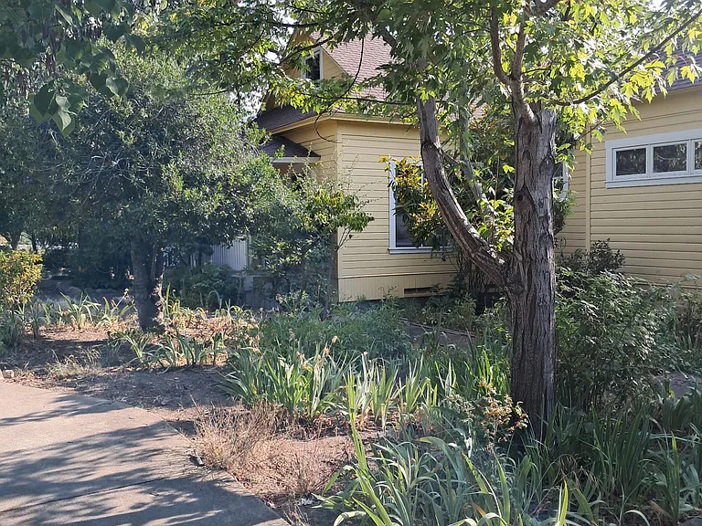 815 Oak St #STUDIO — Photo 6