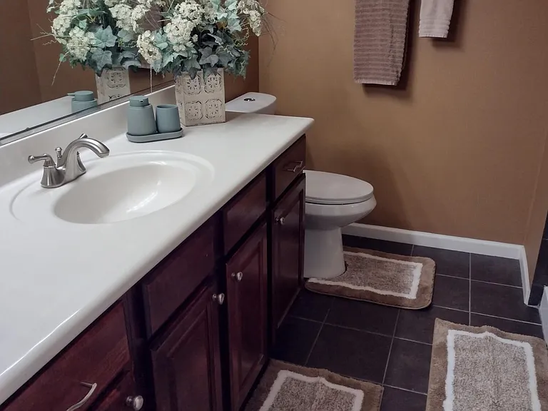 10055 E Mountainview Lake Dr #1056 — Photo 8