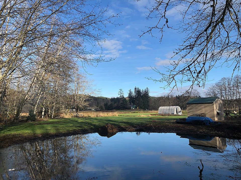 The Pond