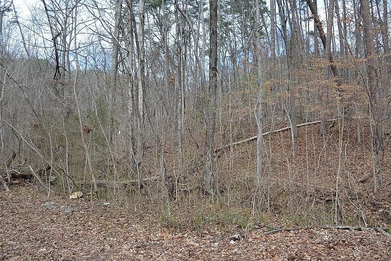 1st image of 0 Magnolia Ave