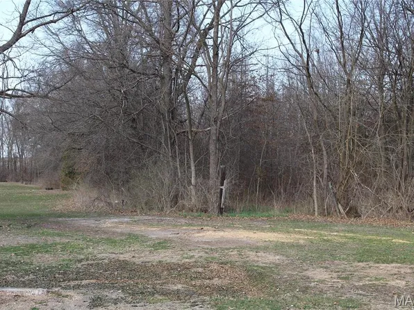 401 E Olive St, Bellflower, MO 63333