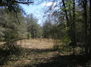 100 SW Smyrna Pl, Fort White, FL 32038