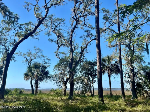 107 Riverpoint Ln, Shellman Bluff, GA 31331