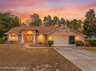 13363 Tracy St, Spring Hill, FL 34609