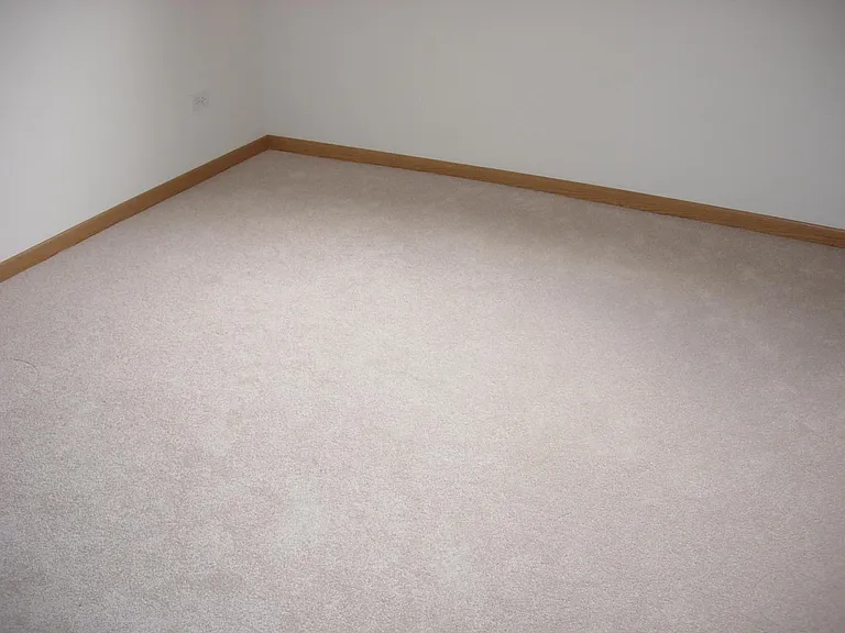 1828 S Wentworth Ave #6D — Photo 13