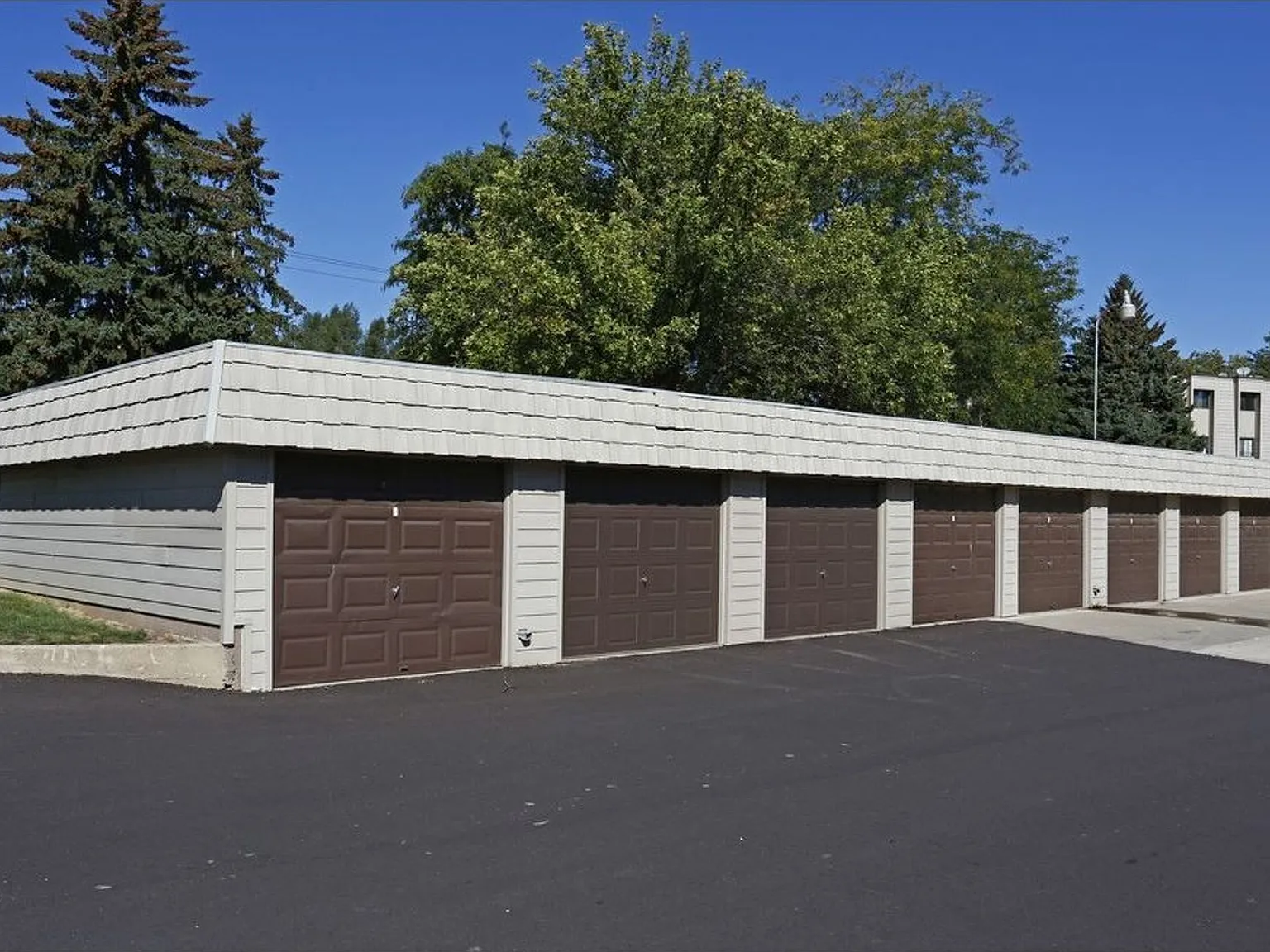Willowwood — Photo 2