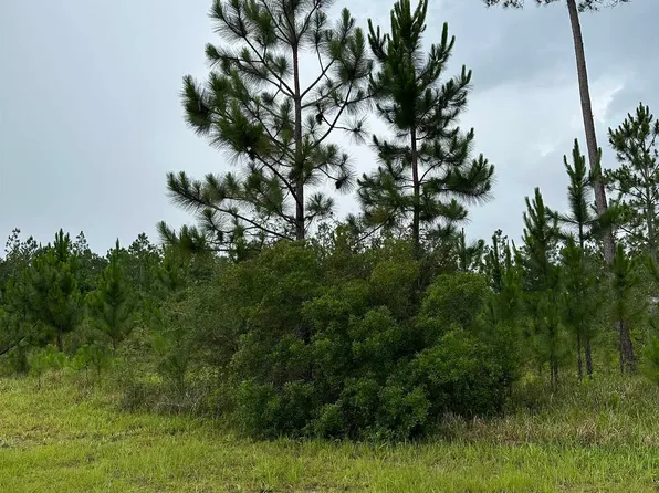 10982 Tall Timber Ln Lot 5, Elberta, AL 36530