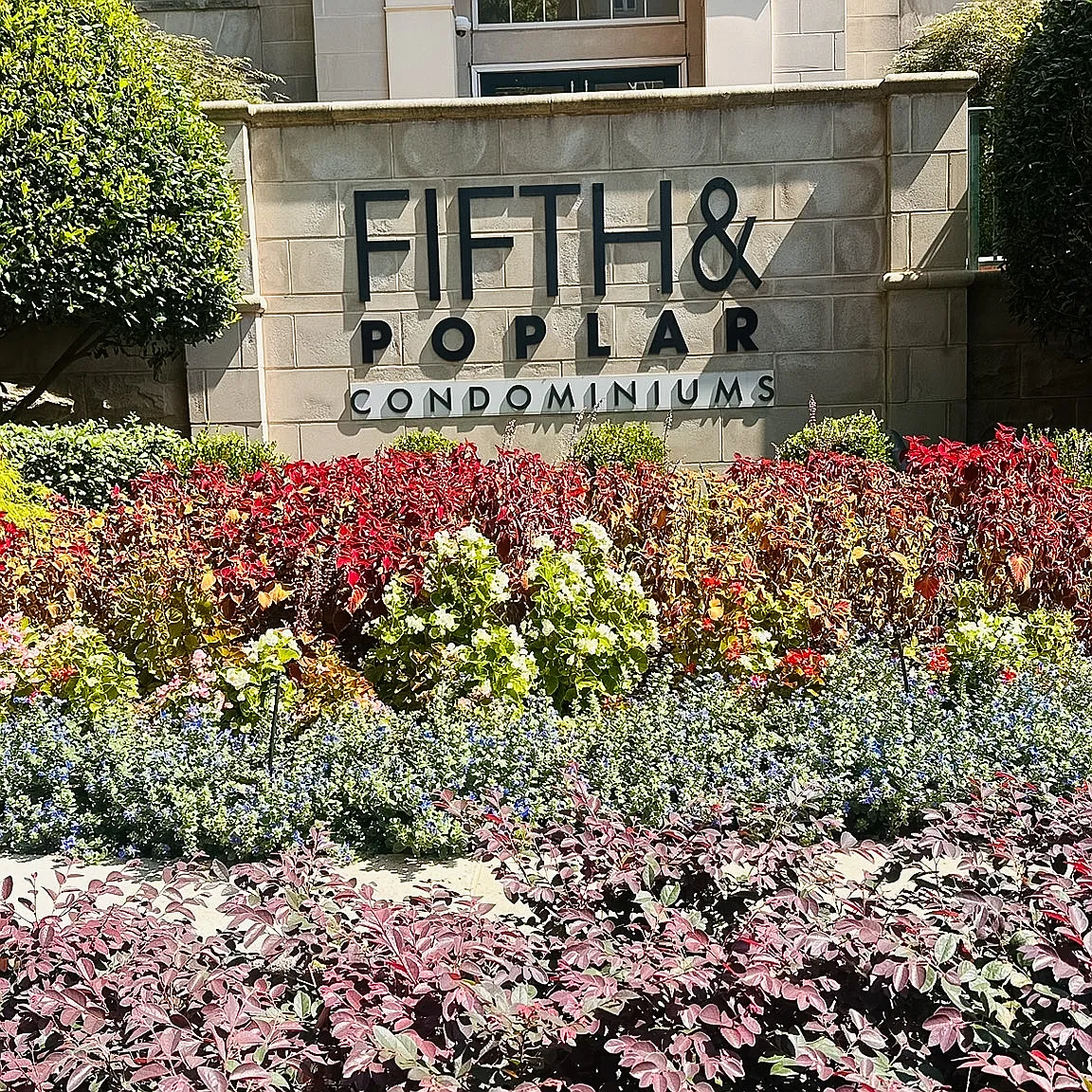 2 bed, 1240 sqft, $2,350 — Photo 1