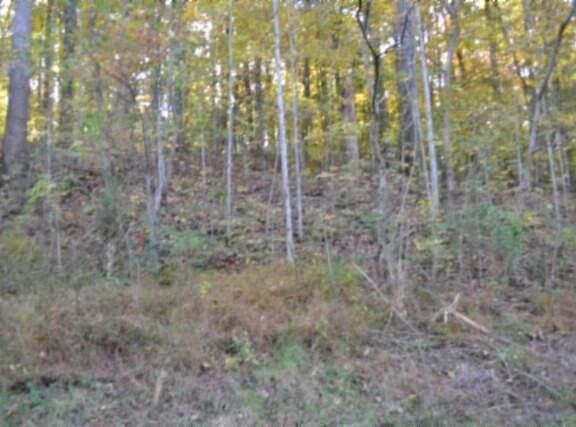 3rd image of LOT 62 Apache Rd