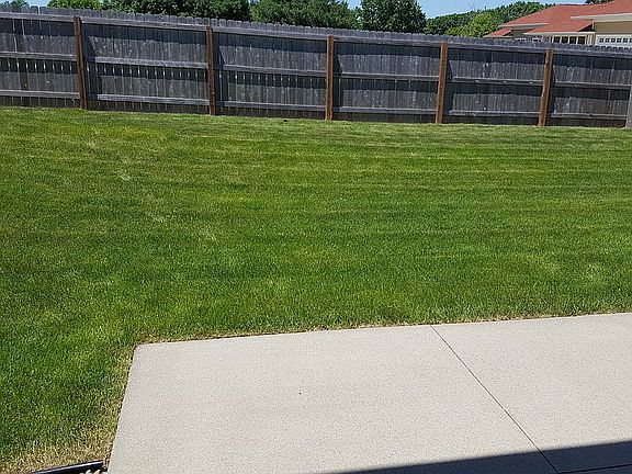 Fenced back yard from patio