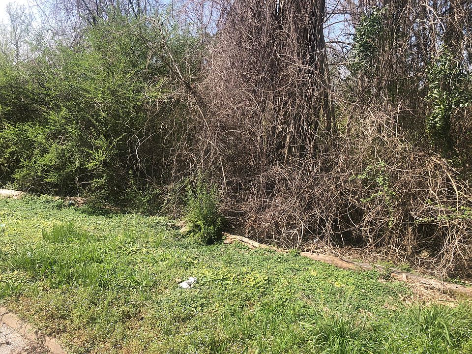 1st image of LOT 18 Bishop St