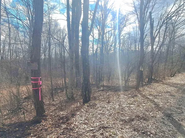 Glade Run Rd, Albright, WV 26519