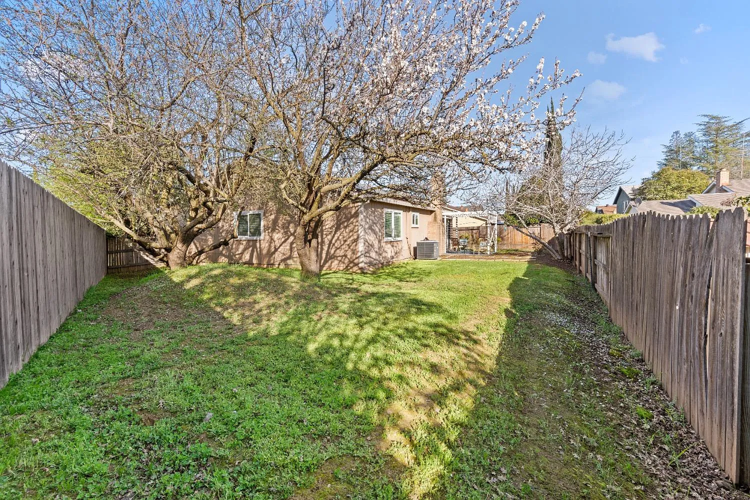 10024 Biscanewoods Way photo 1