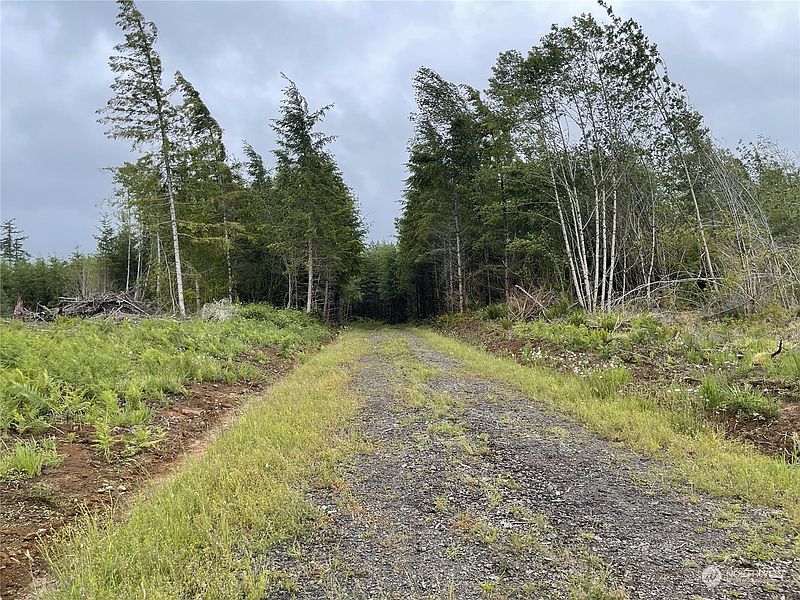 4th image of 3 XX Centralia Alpha Road