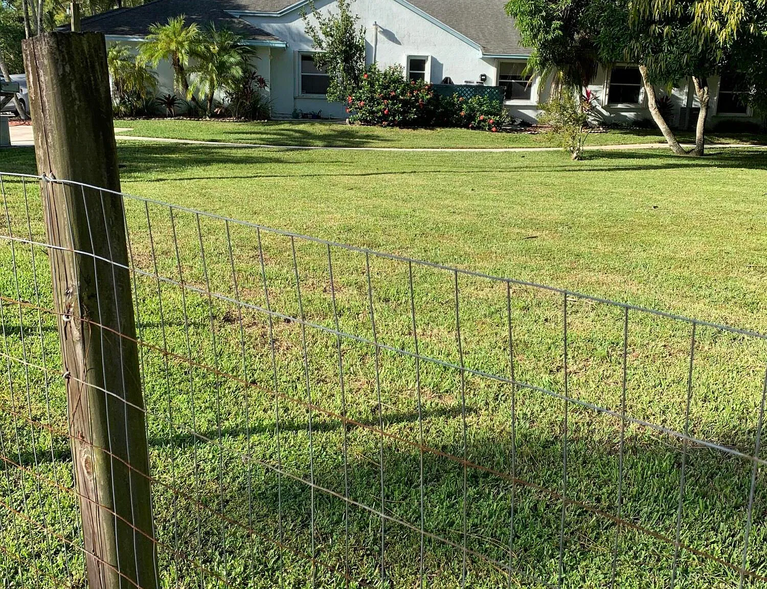 2 bed, 1.0 bath, 860 sqft, $1,800 — Photo 3