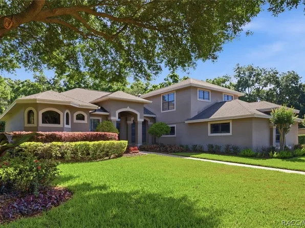 5902 Hammock Woods Dr, Odessa, FL 33556