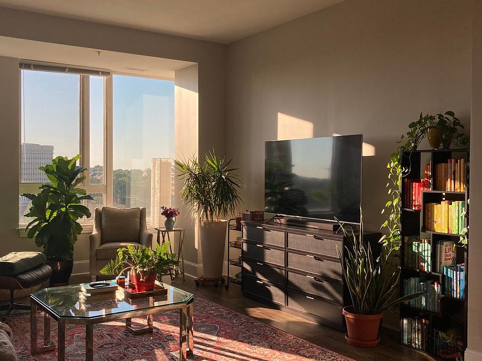 Morning sunshine w/furniture
