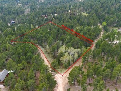 11821 Whale Rd, Deadwood, SD, 57732