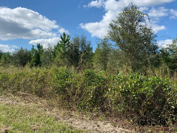 0 State Route 51 #1A, Live Oak, FL 32060