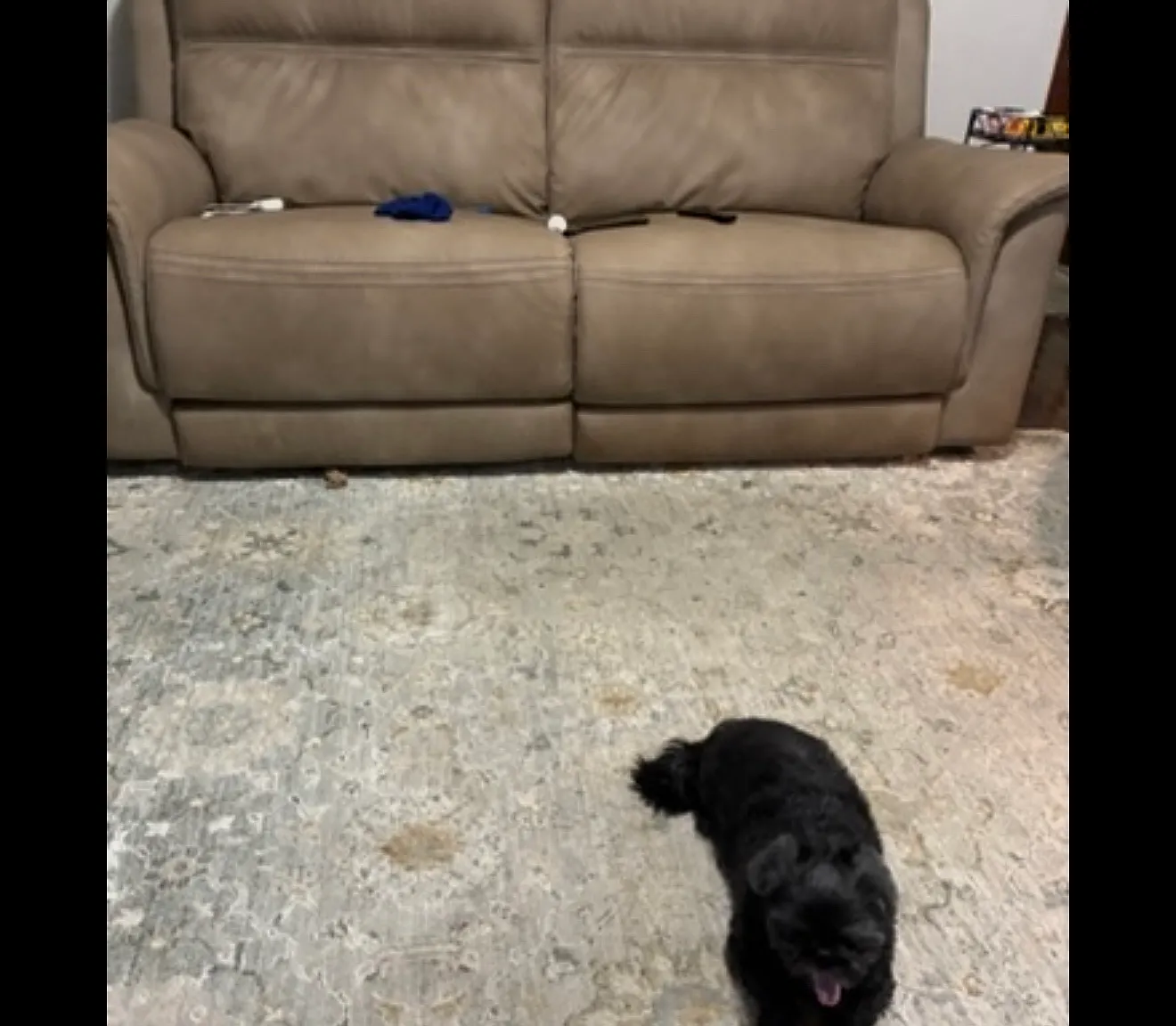 1 bed, $750 — Photo 2