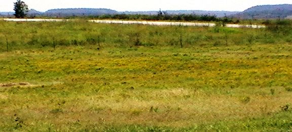 View to the Southeast