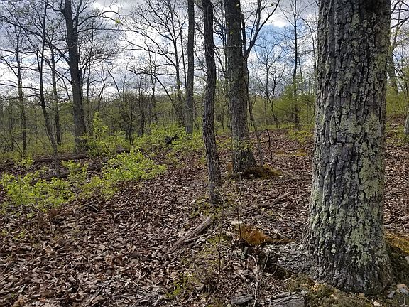 4th image of LOT 34 Charles Dr