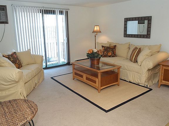 Witmer Road Apartments - Living Room