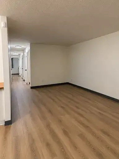 3 bed, 1.0 bath, 1000 sqft, $1,800 — Photo 4