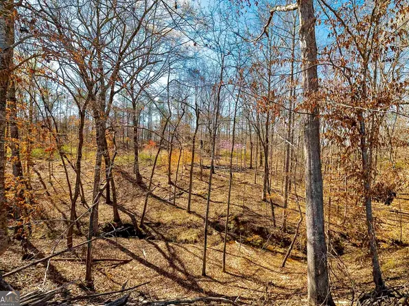 LOT 7 Mayfield Rd, Flovilla, GA 30216