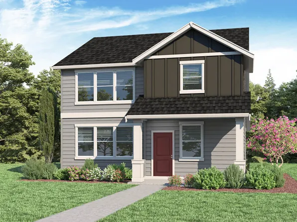 Starlight Plan, Bailey Meadows