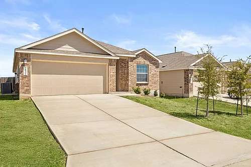 2831 Calandra Lark Photo 1