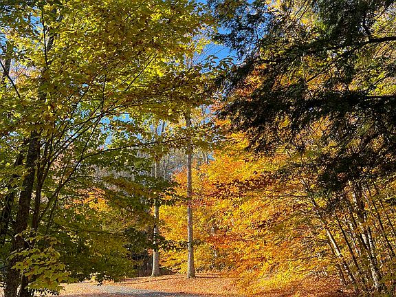 2nd image of 358 Cowdrey Path