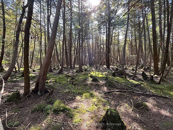 2nd image of LOT 25 Champlain Rd