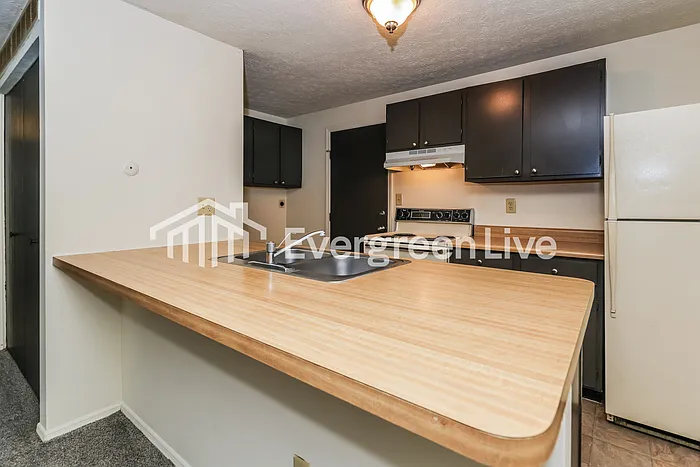 8132 Mount Snow Dr — Photo 7