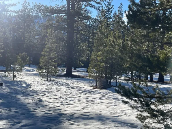 (undisclosed Address), South Lake Tahoe, CA 96150