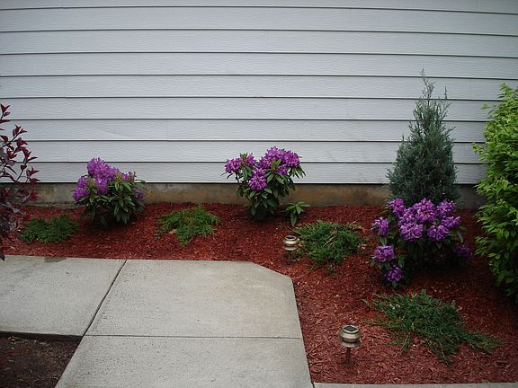 Landscaping by Entrance