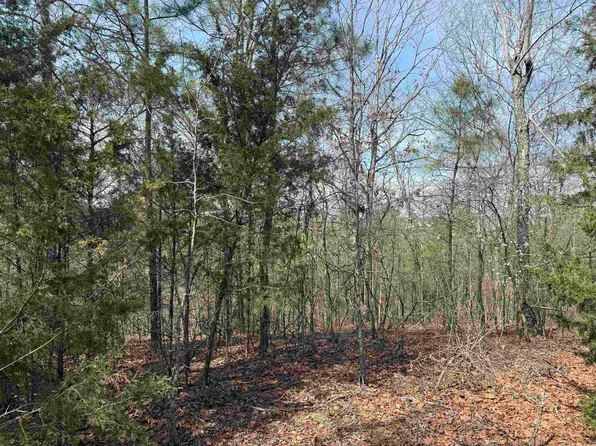 LOT 49 Mustang Dr, Clinton, AR 72031