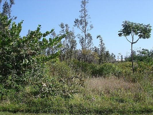 2nd image of 7 Avenue