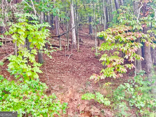 12 Cherokee Trl, Ellijay, GA 30540