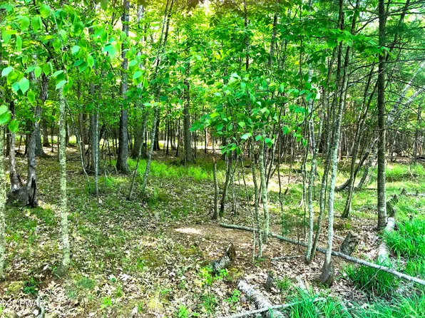 58 Hawks Nest Dr, Hawley, PA 18428