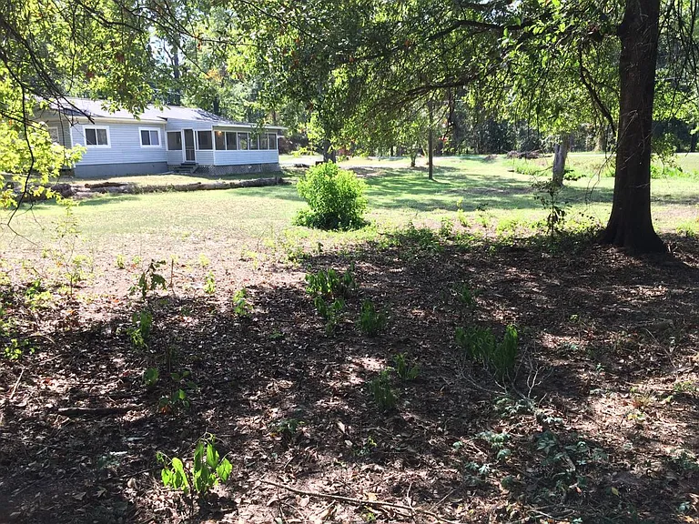 New Grass Planted