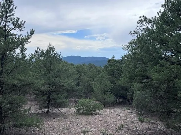 LOT 62 Upper Pinabete Rd, Questa, NM 87556