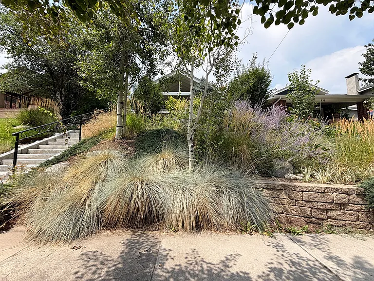 631 Jackson St — Photo 38
