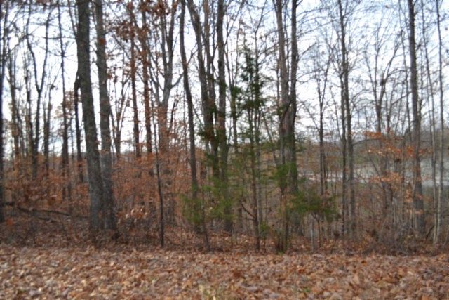 1st image of 0 Wet Mill Creek Rd