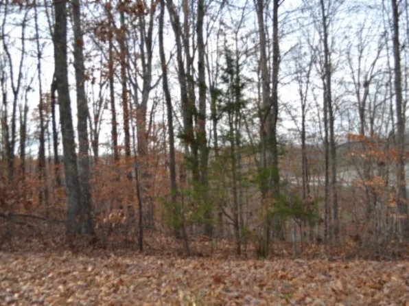 0 Wet Mill Creek Rd, Celina, TN 38551